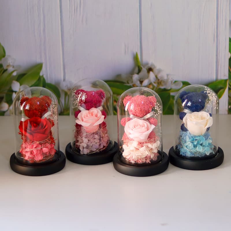 Valentine's Day Gift For Girlfriend Eternal Preserved
